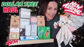 Dollar Tree Haul  Amazing Finds! New Name Brand Finds!