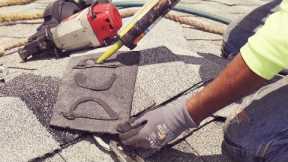 BEST OF HAWAII | David's Custom Roofing and Painting