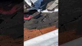 Day 1. Cleaning. FBC Hawaii / Roofing contractor in Oahu
