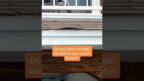 Do you have a shingle like this on your roof? with FBC Roofing Hawaii Oahu Local Roofing Company