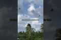 Roofing contractors life in Honolulu