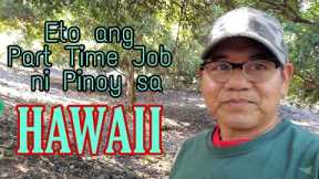 Eto ang Part Time Job ni Pinoy sa Hawaii. Mga Lola Namumulot ng $$$.