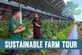 Hawaii Farm Grows Food Under Solar