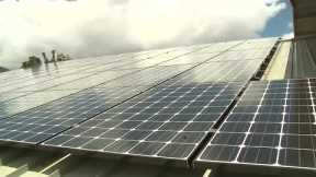 Hawaii solar companies fear president's renewable energy tax could hurt business