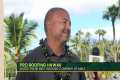 Maui’s Trusted Experts for Stormproof 
