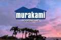 Murakami Roofing LLC_Bird's Eye View