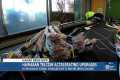 Hawaiian Telcom accelerates fiber